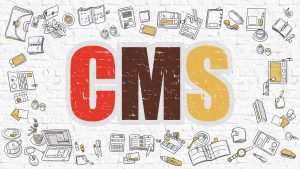 CMS for startups