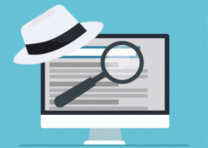 white hat and black hat seo