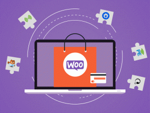 Woocommerce store Ecommerce