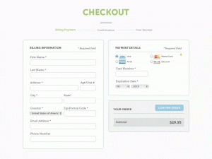 website checkout process
