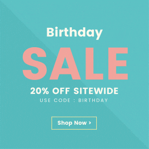 Newsletter email marketing