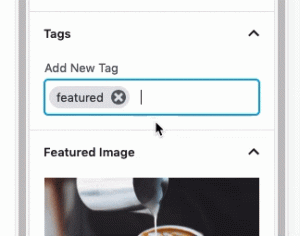 Best Practices for Using WordPress Tags