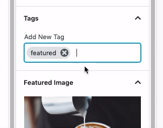Best Practices for Using WordPress Tags