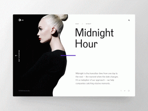 Provide Web Design Samples