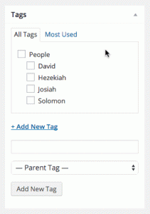 WordPress Tags